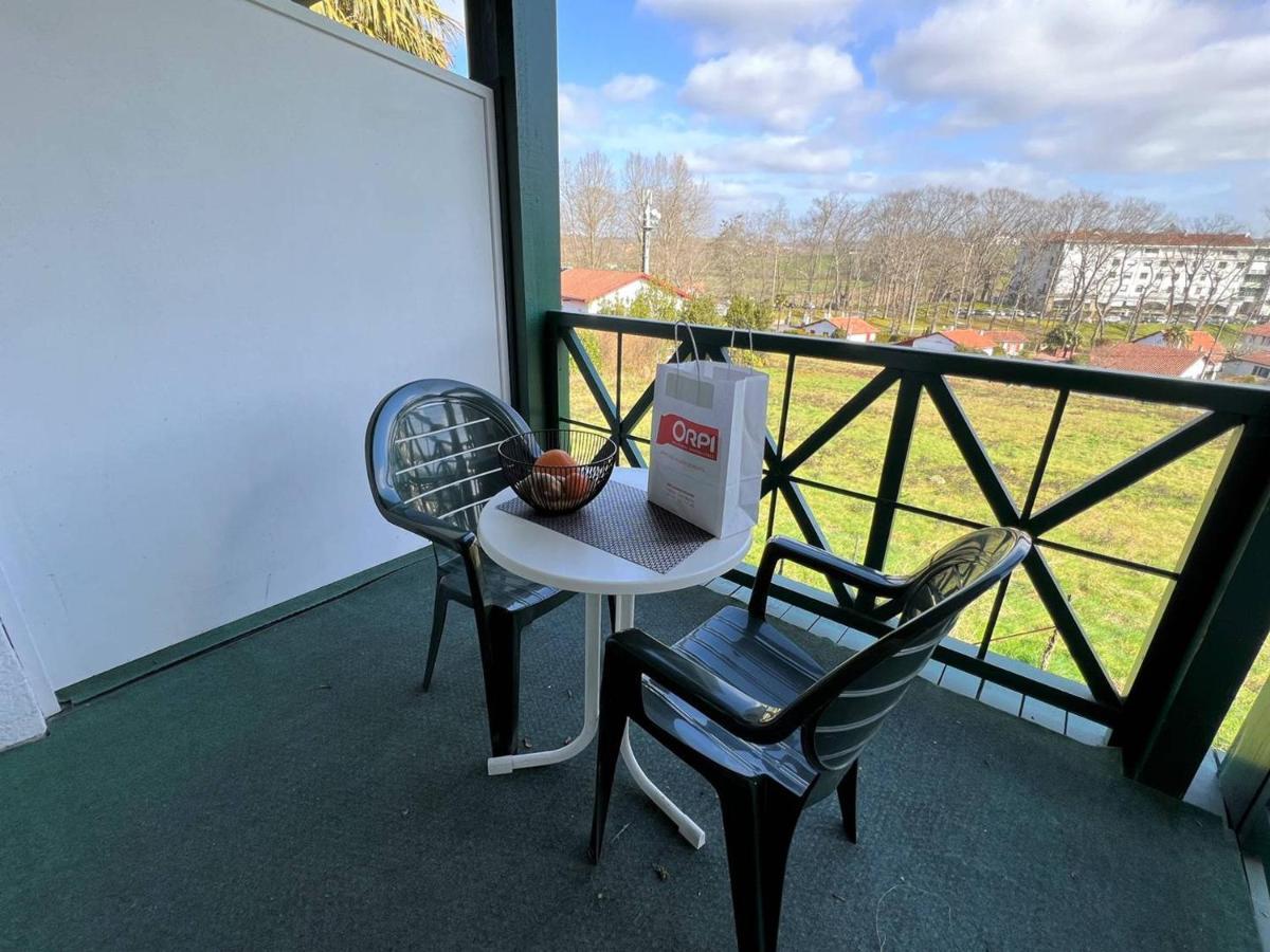 Studio Lilas A Cambo-Les-Bains : Terrasse, Parking, Proche Thermes, Internet, Animaux Acceptes - Fr-1-495-96 Екстериор снимка